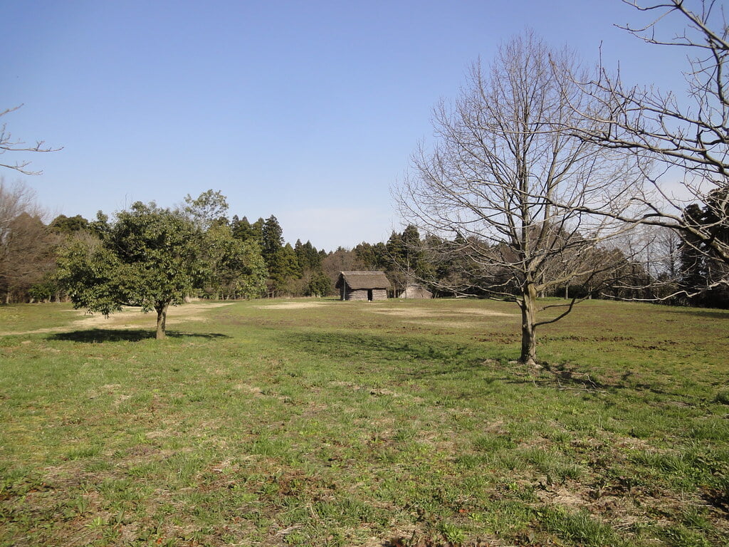 美山公園の写真2