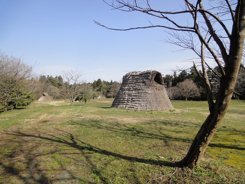 美山公園の写真5