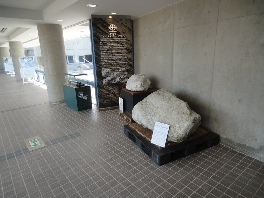 美山公園の写真6