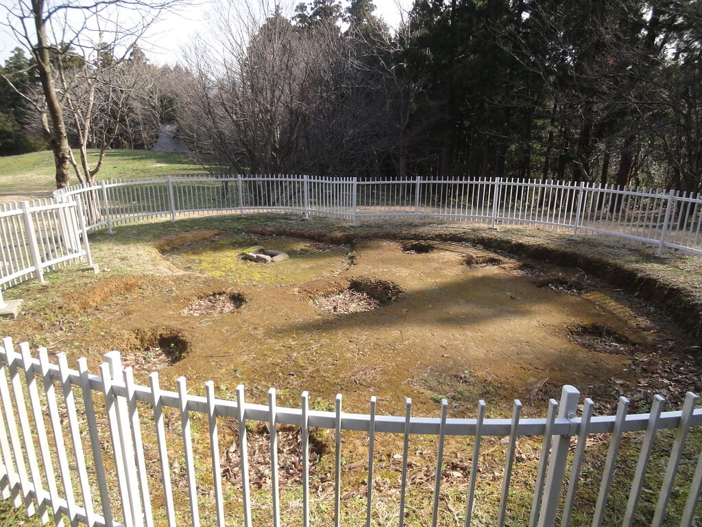 美山公園の写真8