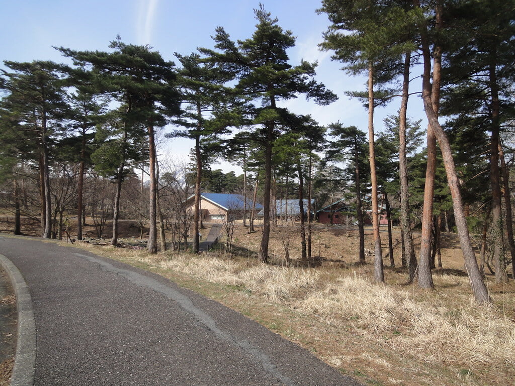 美山公園の写真9