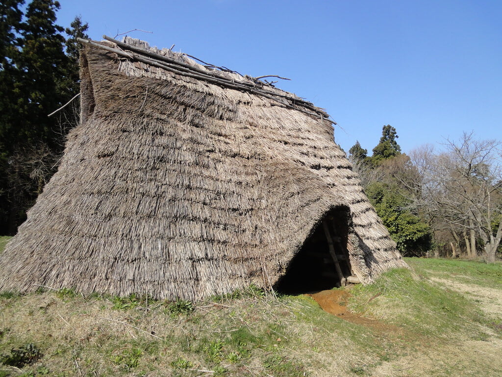 美山公園の写真11