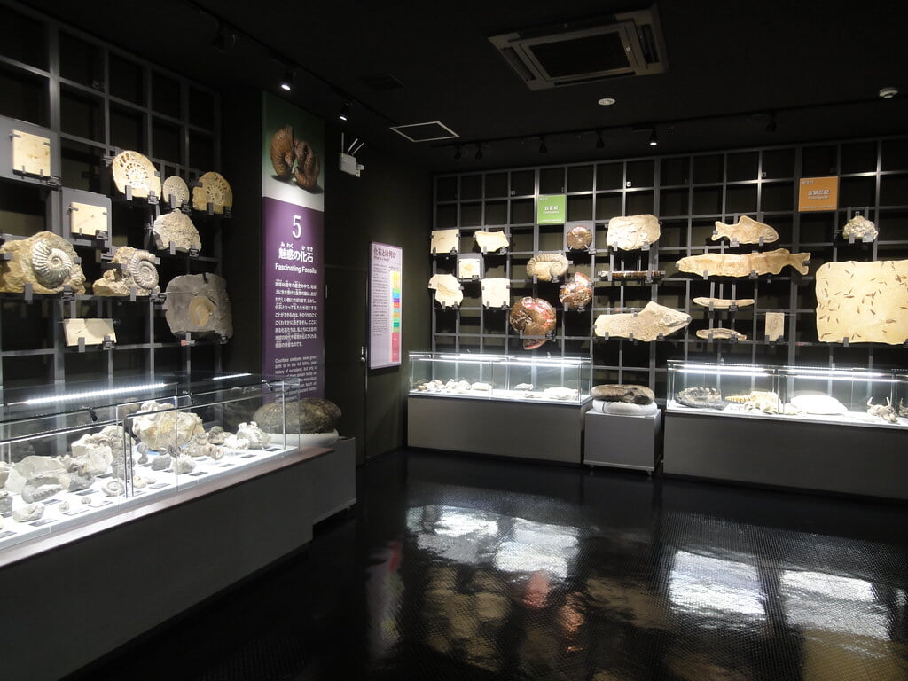 美山公園の写真12