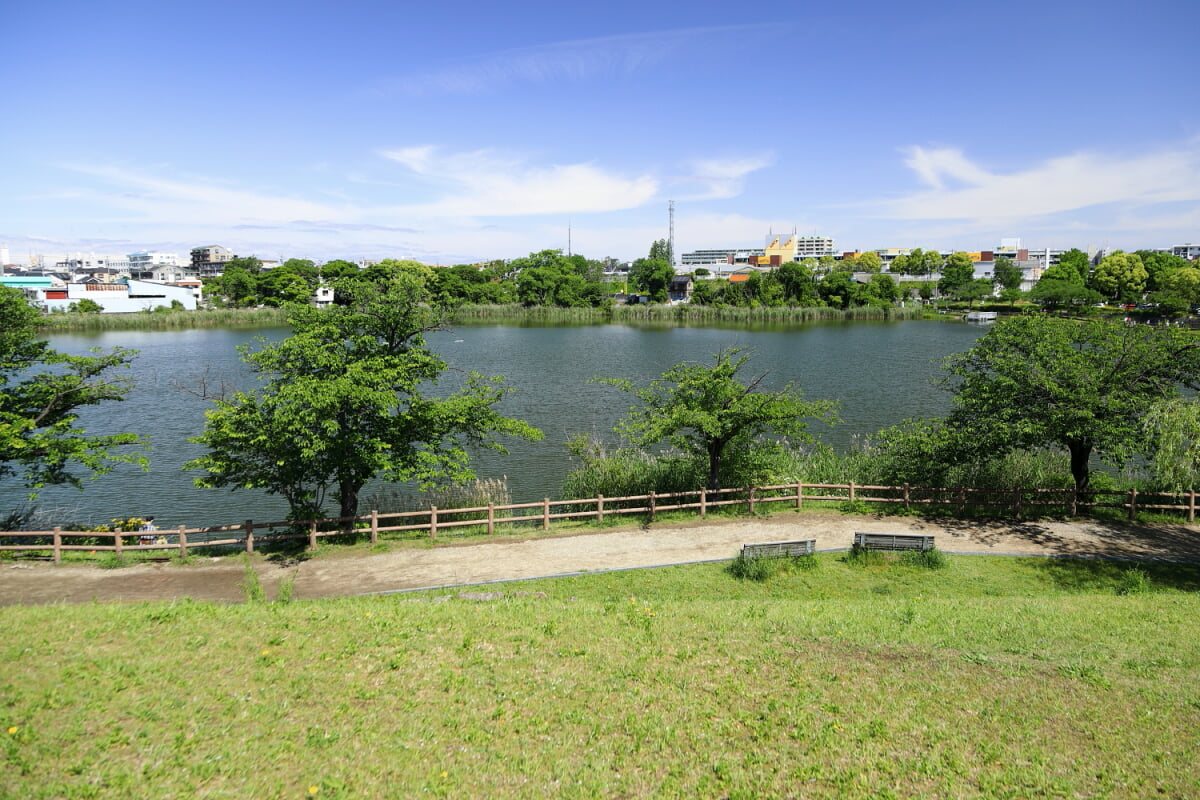 新海池公園の写真4
