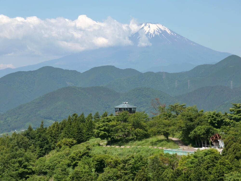 菜の花台の写真2