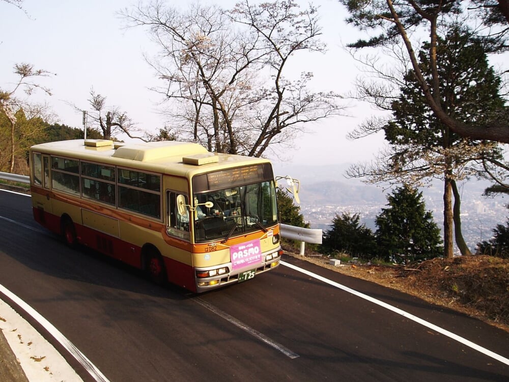 菜の花台の写真3