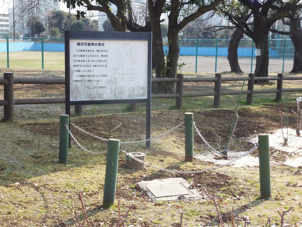 三ツ沢公園の写真2