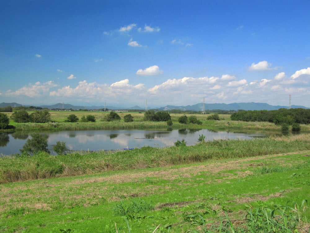渡良瀬遊水地の写真3