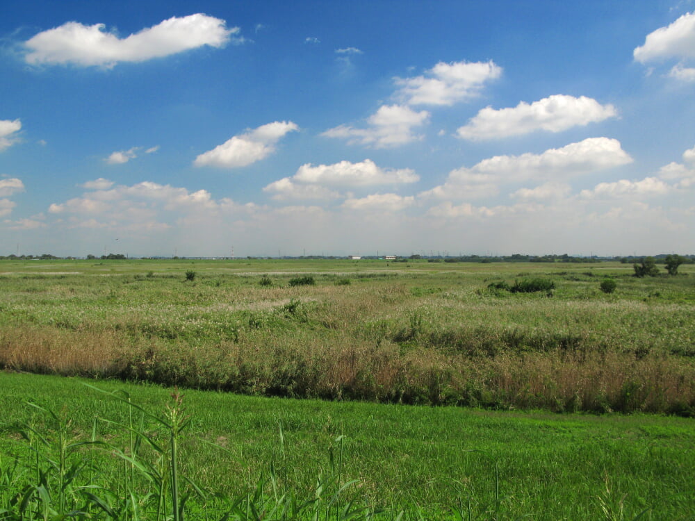 渡良瀬遊水地の写真4