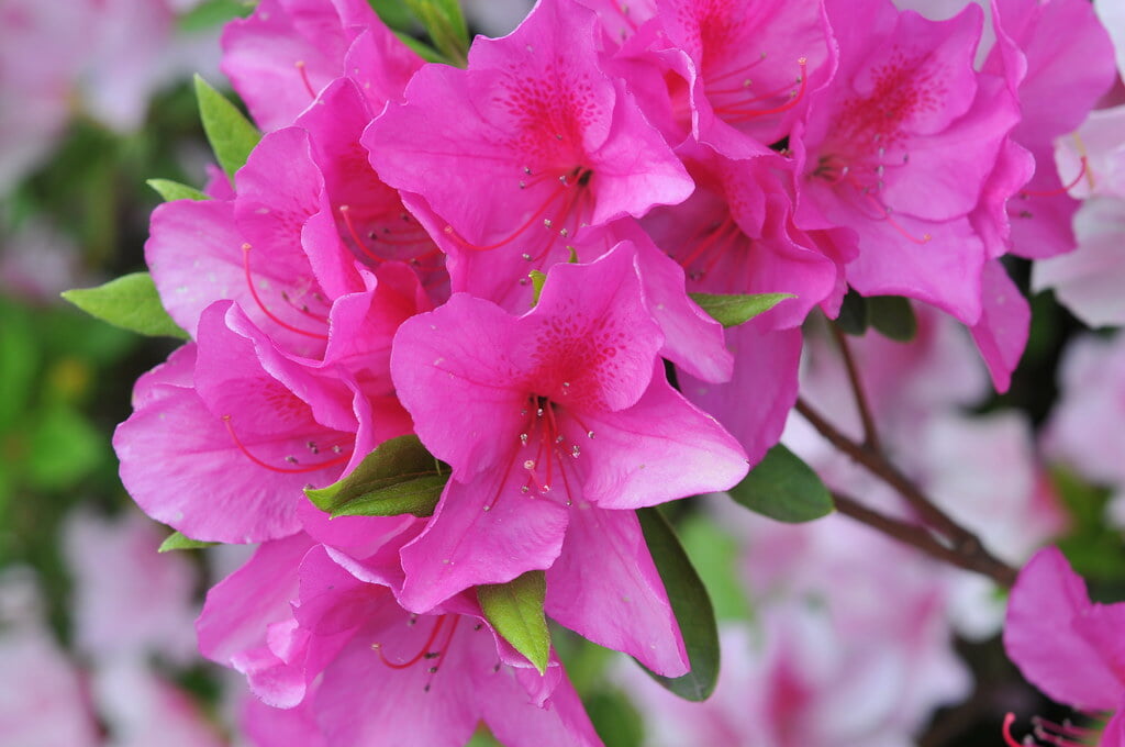 勝盛公園の写真4