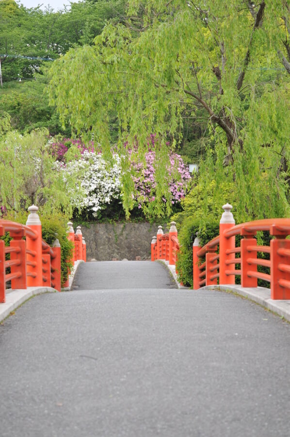 勝盛公園の写真6