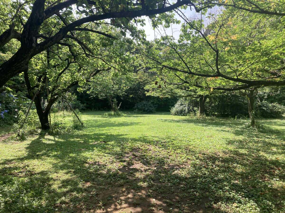 本牧山頂公園の写真4