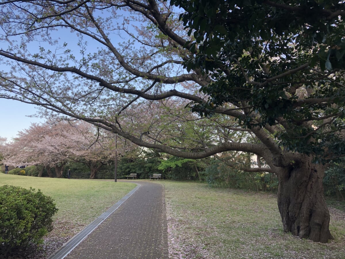 本牧山頂公園の写真5