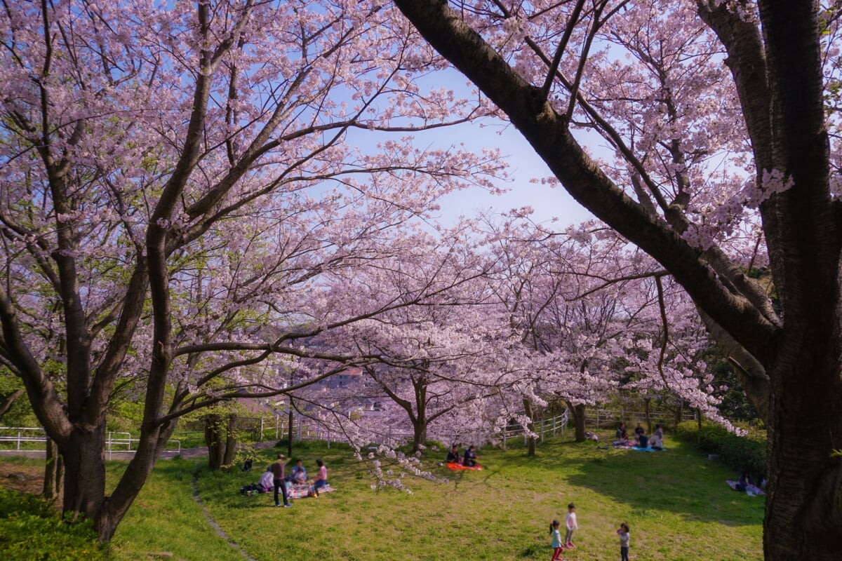 本牧山頂公園の写真6