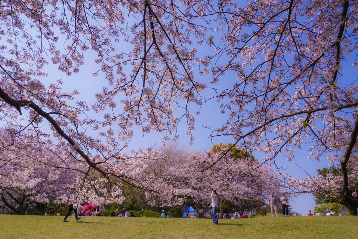 本牧山頂公園の写真1
