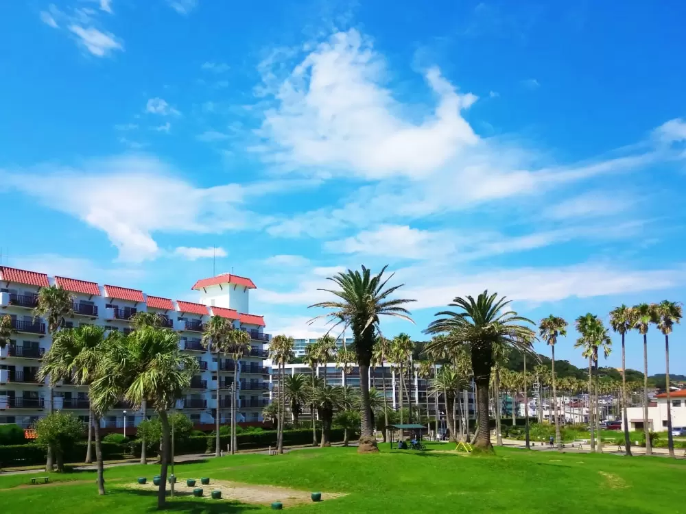 小坪海浜公園の写真1