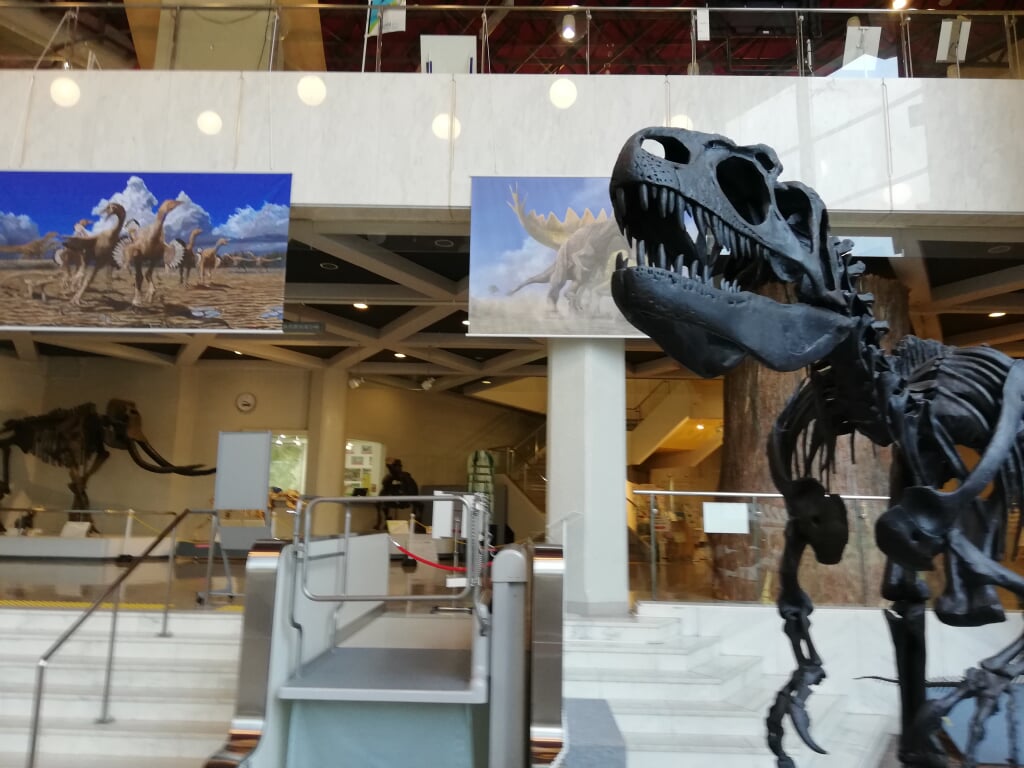 岐阜県博物館の写真2