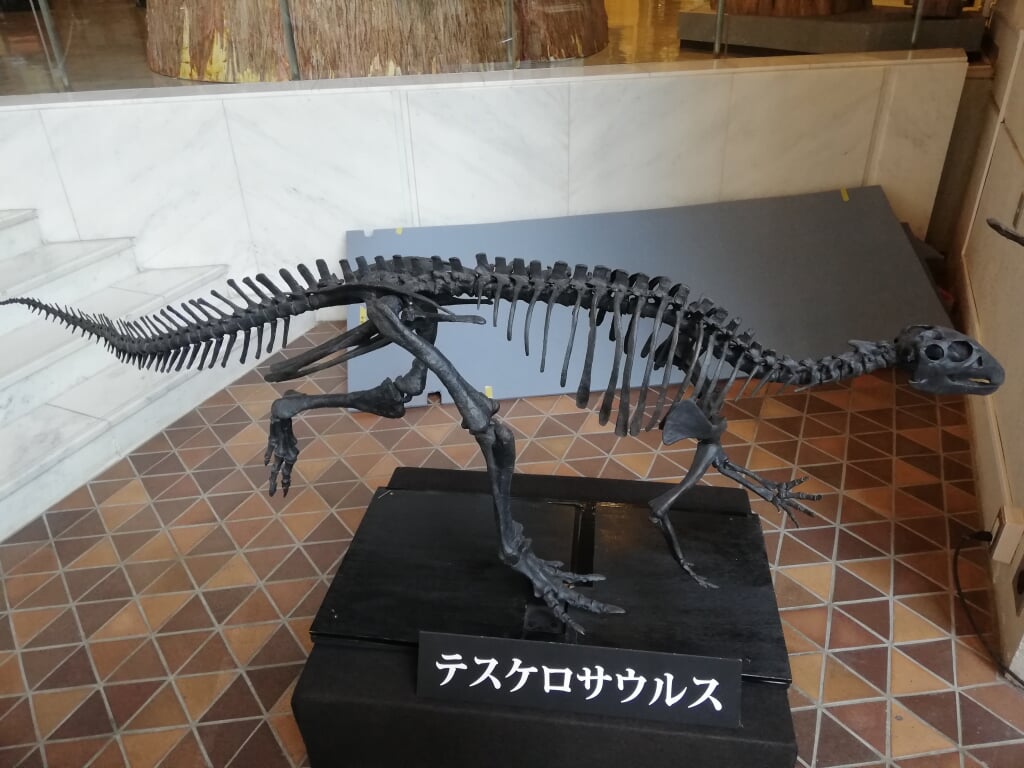 岐阜県博物館の写真5