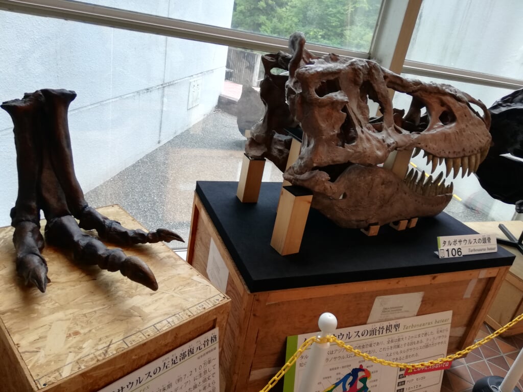 岐阜県博物館の写真6