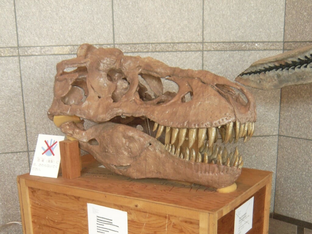 岐阜県博物館の写真7