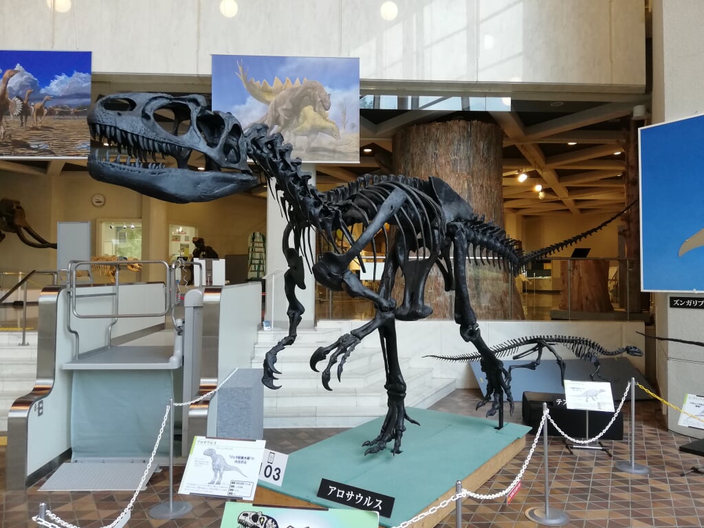 岐阜県博物館の写真8