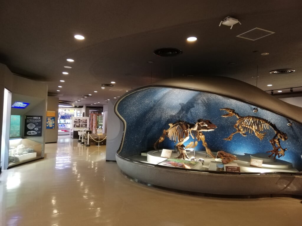 岐阜県博物館の写真10