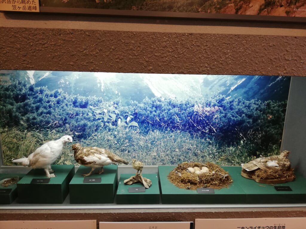 岐阜県博物館の写真11