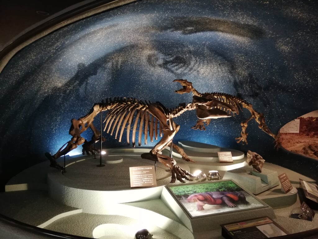 岐阜県博物館の写真13