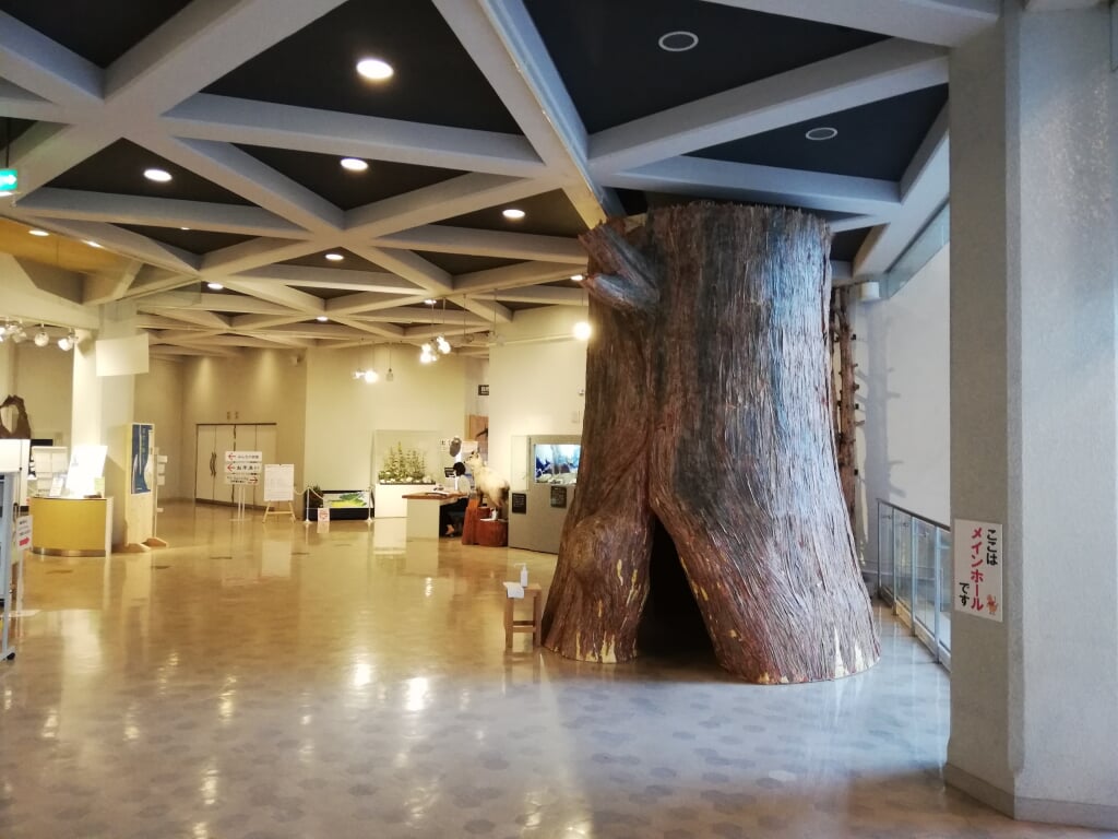 岐阜県博物館の写真14