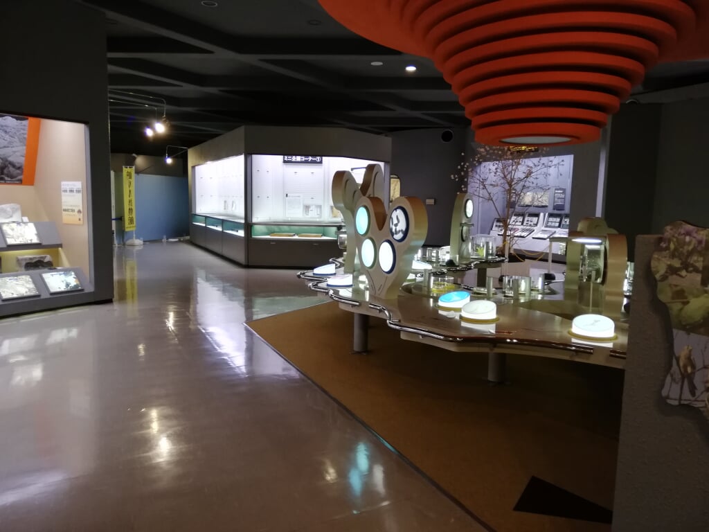 岐阜県博物館の写真15