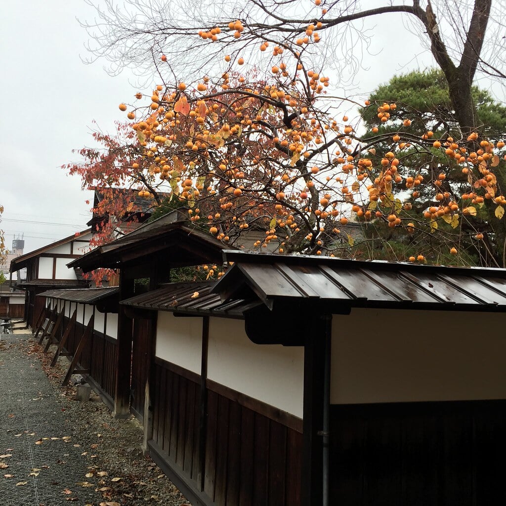 高山陣屋の写真3