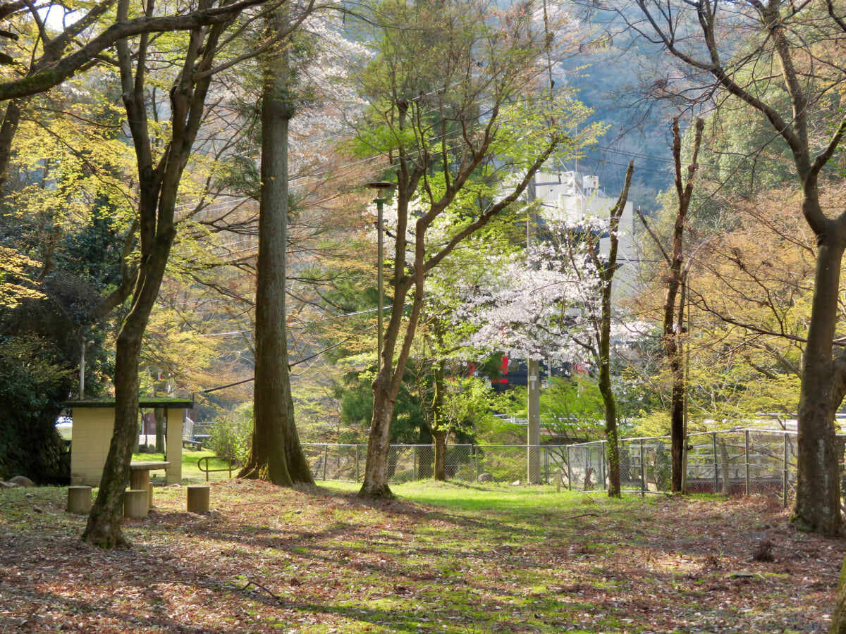 虎渓公園の写真8