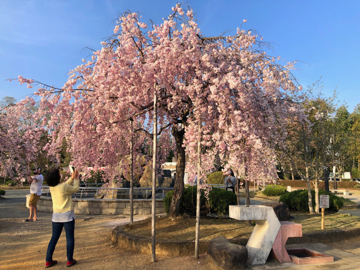 虎渓公園の写真9