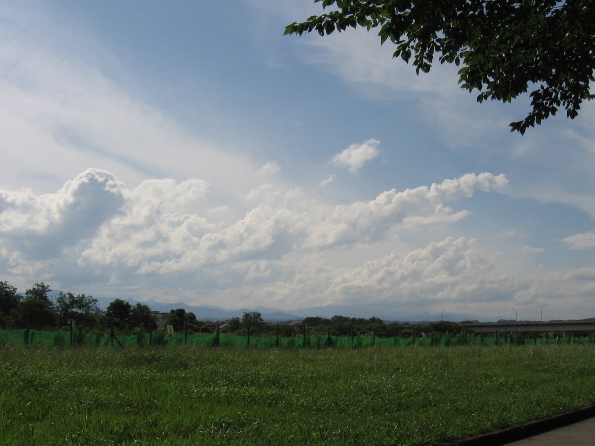 福生公園の写真2