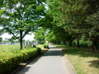 福生公園