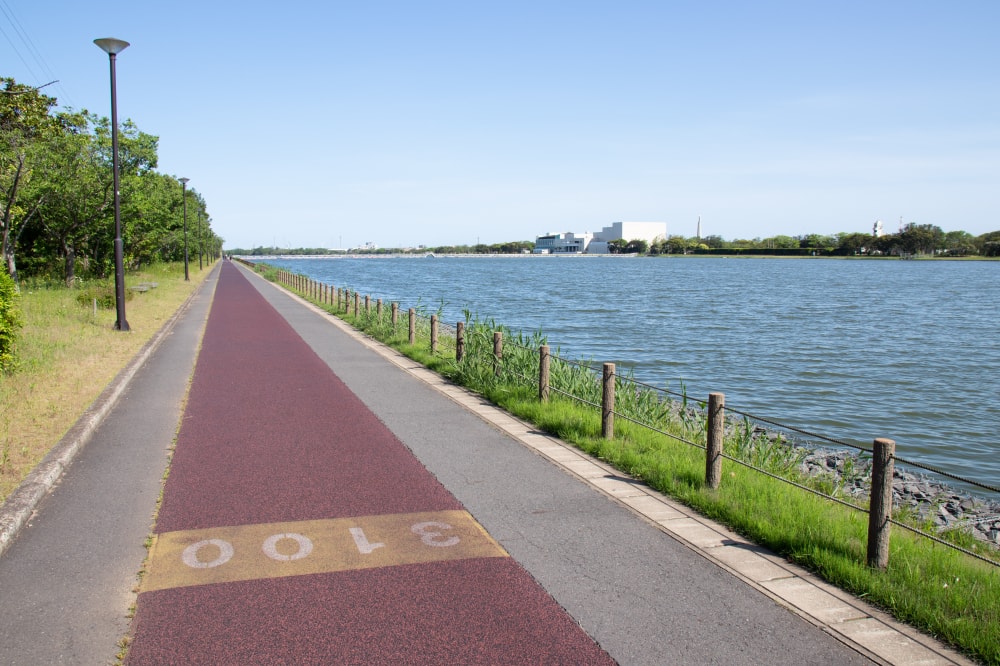 神之池緑地公園の写真3