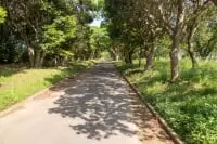 神之池緑地公園