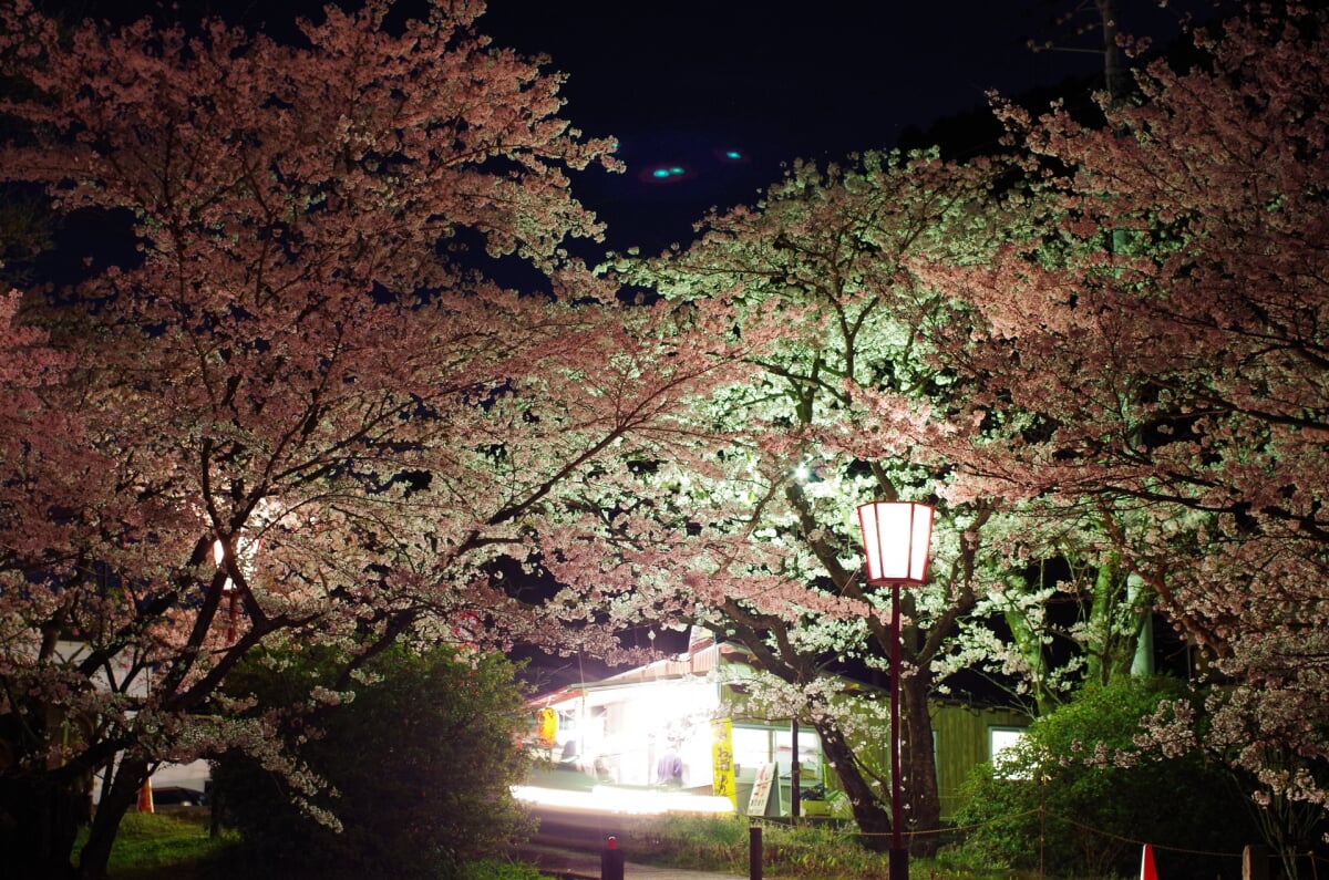武丈公園の写真2