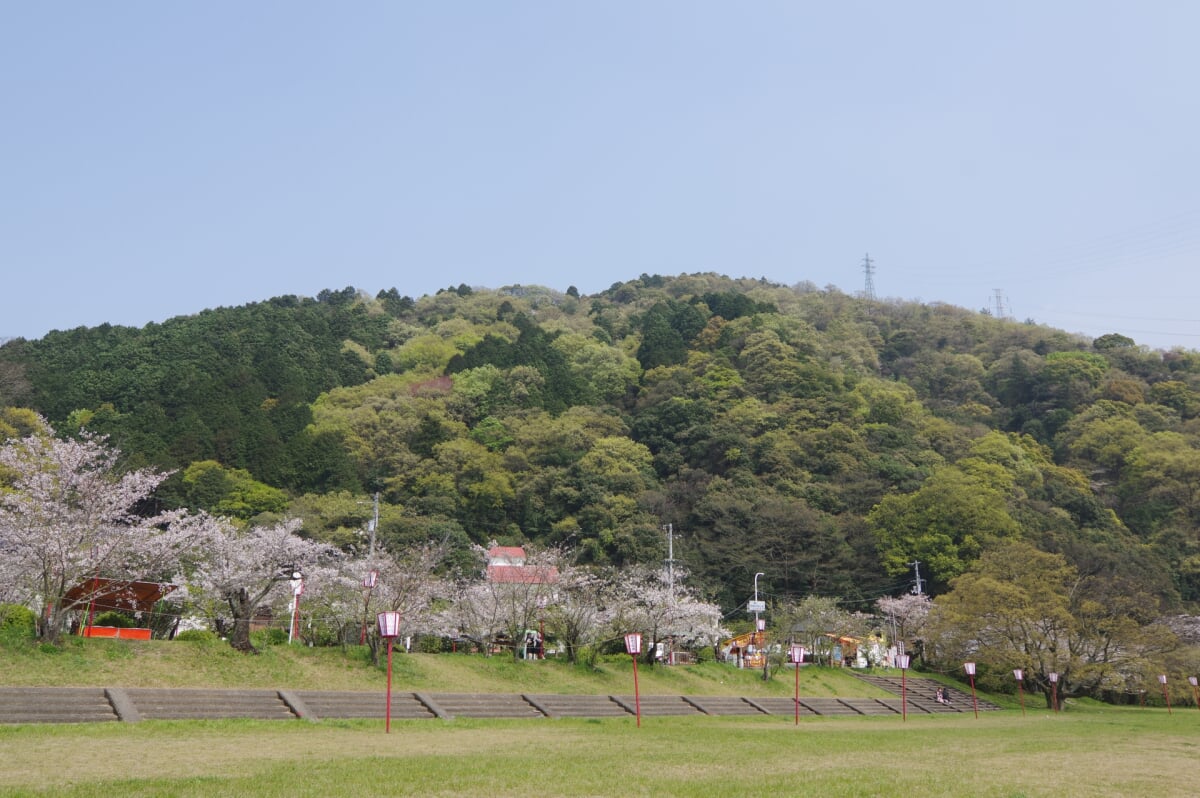 武丈公園の写真3