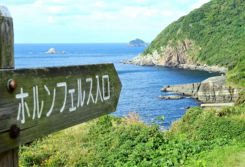 ホルンフェルスの写真1