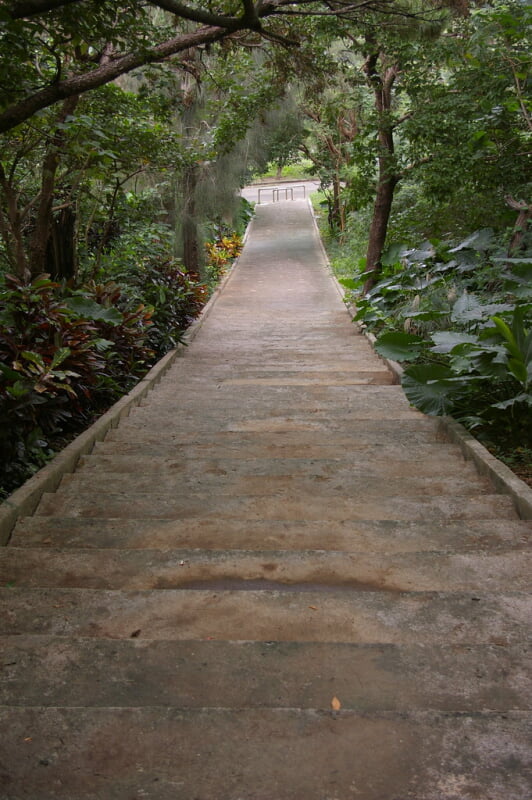 カママ嶺公園の写真3