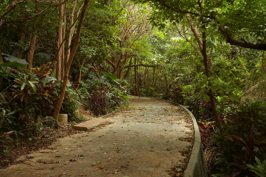 カママ嶺公園の写真10