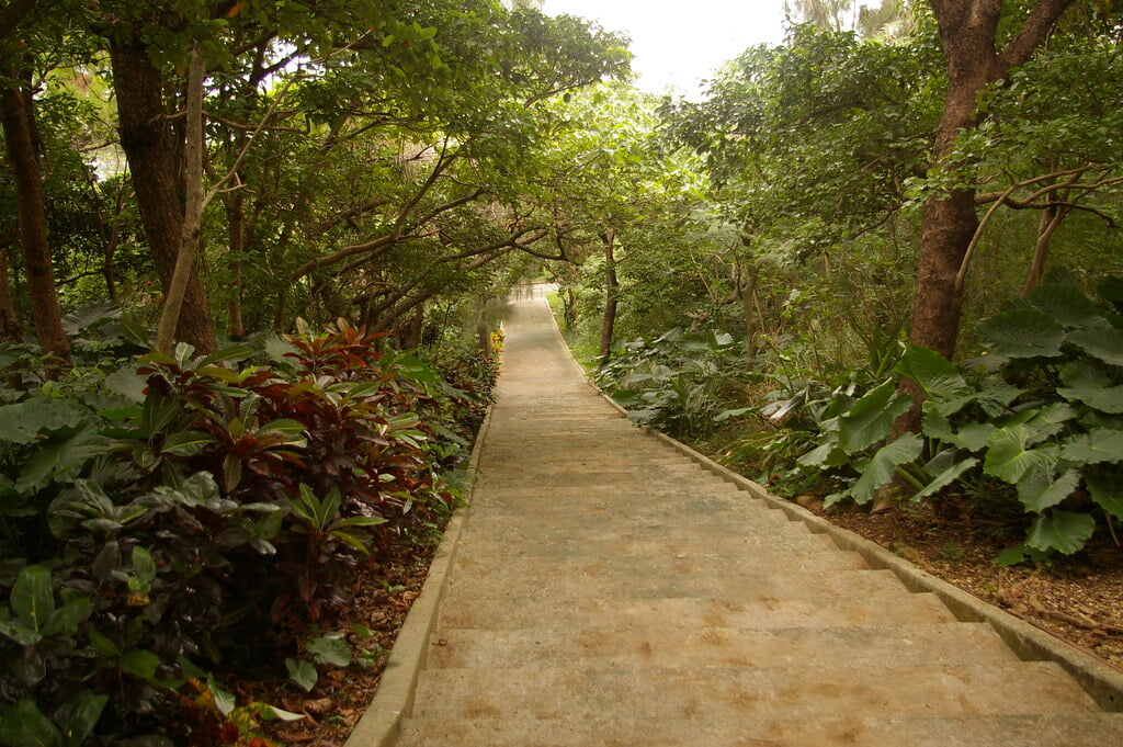 カママ嶺公園の写真11