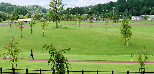 三段池公園の写真2