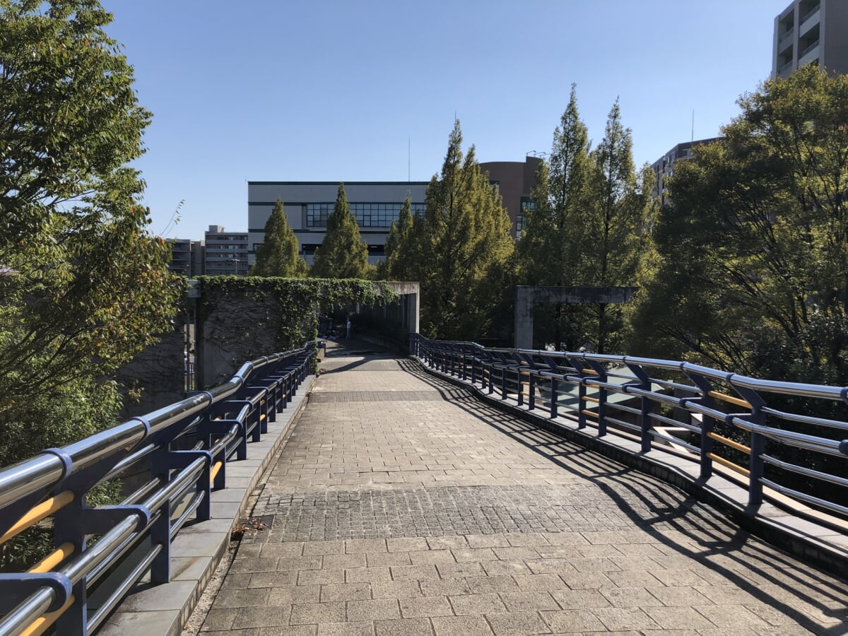 都築中央公園の写真3