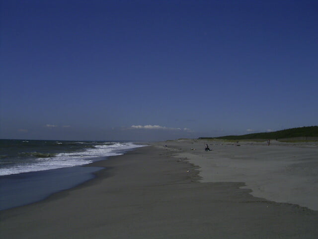 中田島砂丘の写真2