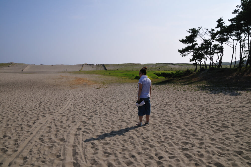 中田島砂丘の写真1