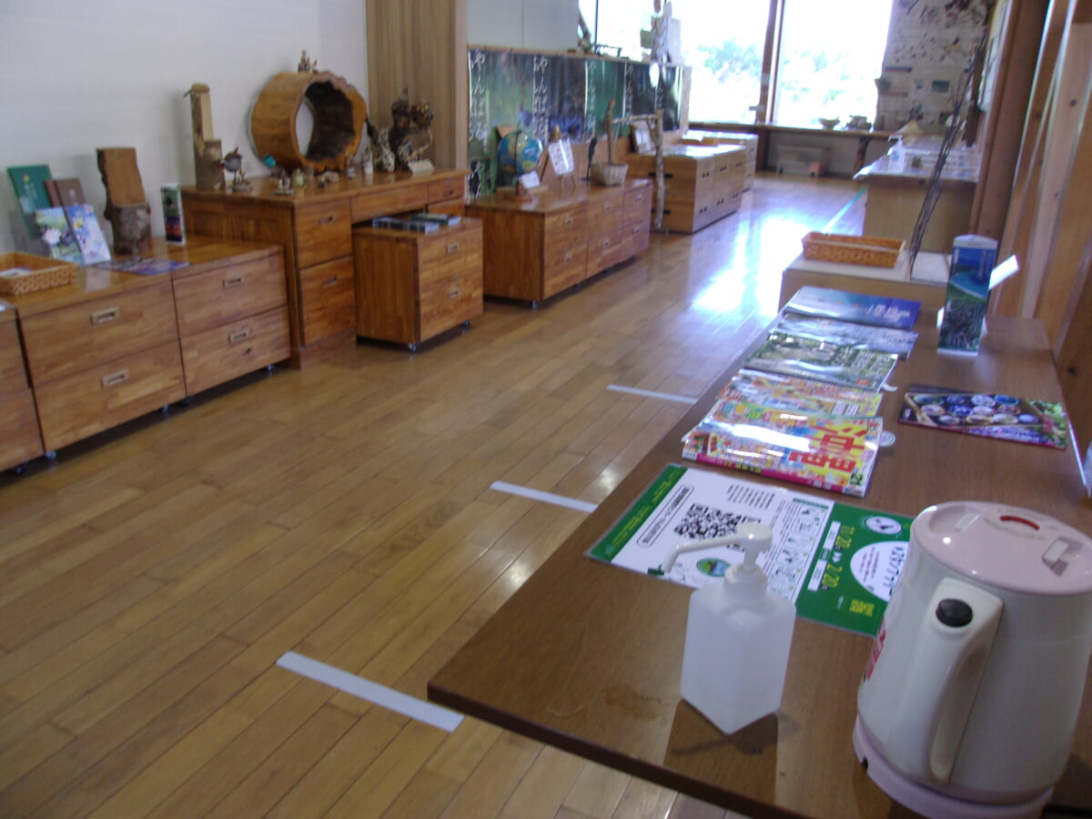 やんばる学びの森の写真5