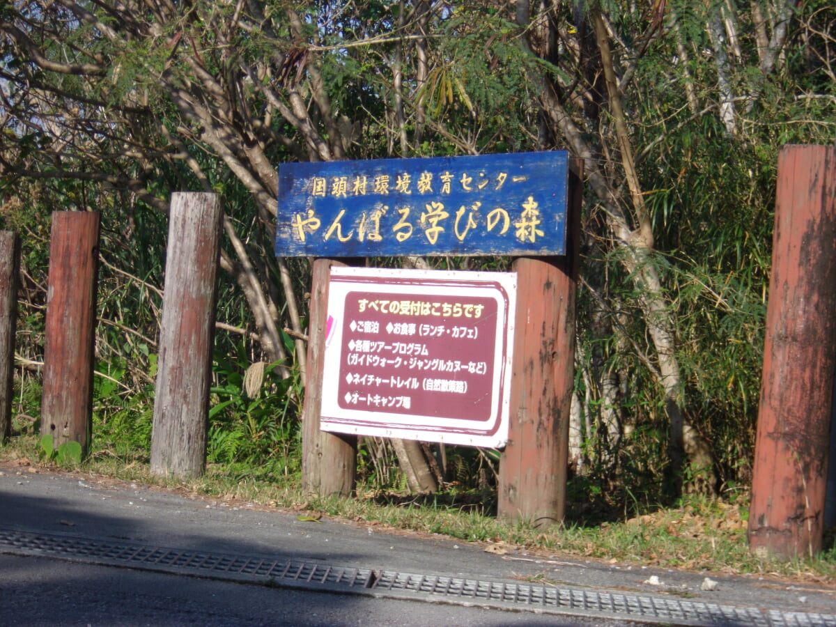 やんばる学びの森の写真6