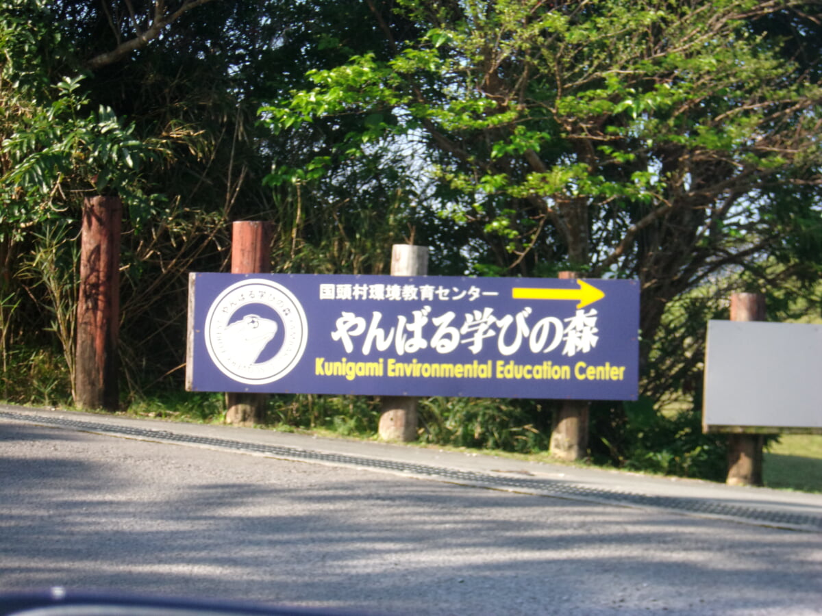 やんばる学びの森の写真8